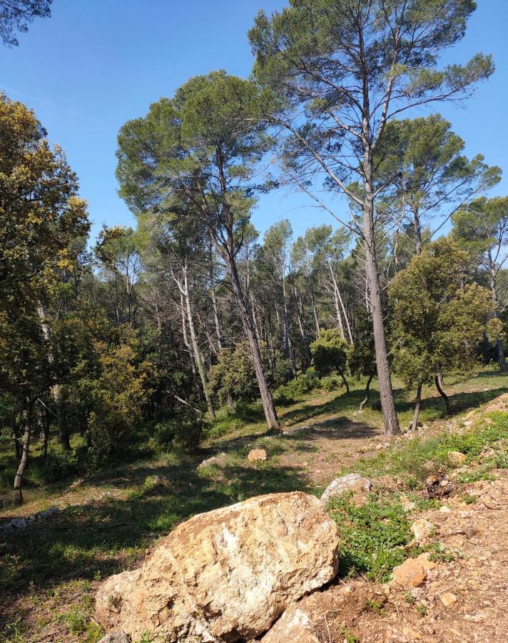 Les Hauts Du Peireguier La Motte  Exterior photo